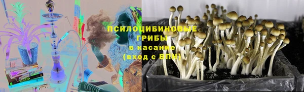 ALPHA-PVP Алексеевка