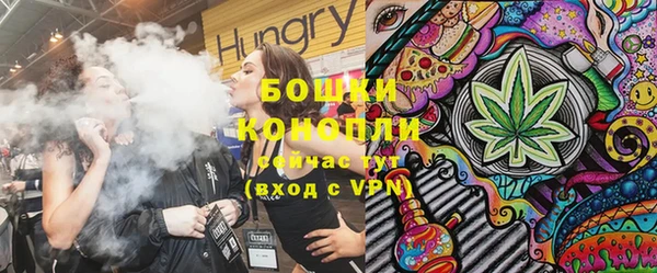 шишки Алзамай