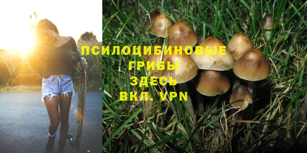 эйфоретик Абинск