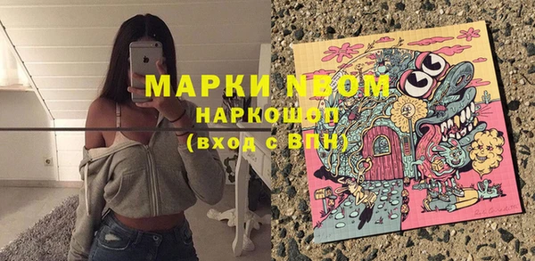 шишки Алзамай