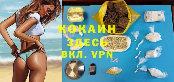 шишки Алзамай