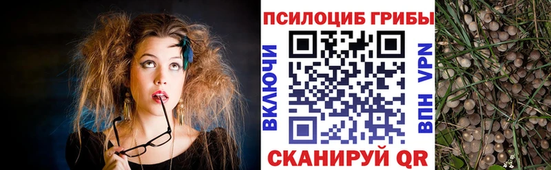 Псилоцибиновые грибы Cubensis Кингисепп
