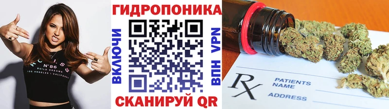 Бошки марихуана ГИДРОПОН  mega рабочий сайт  Кингисепп 